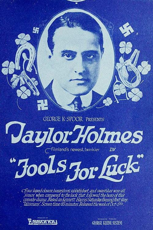 Fools For Luck 1917 official movie poster