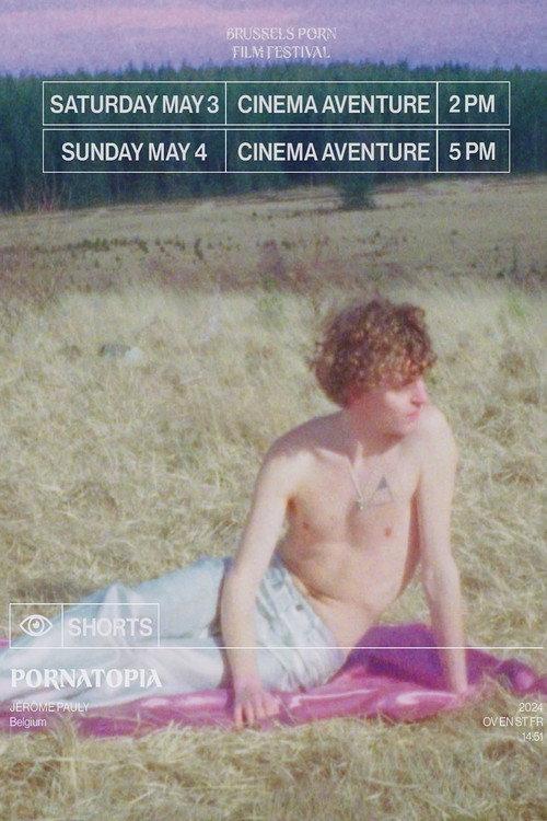 PornAtopia 2024 official movie poster