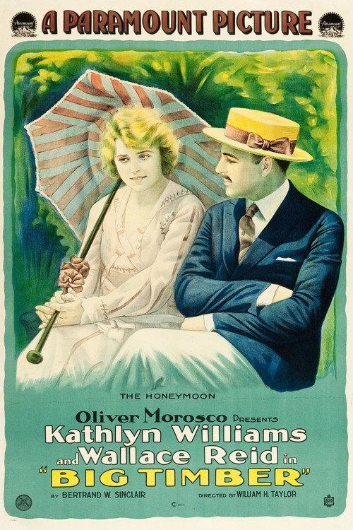 Big Timber 1917 official movie poster