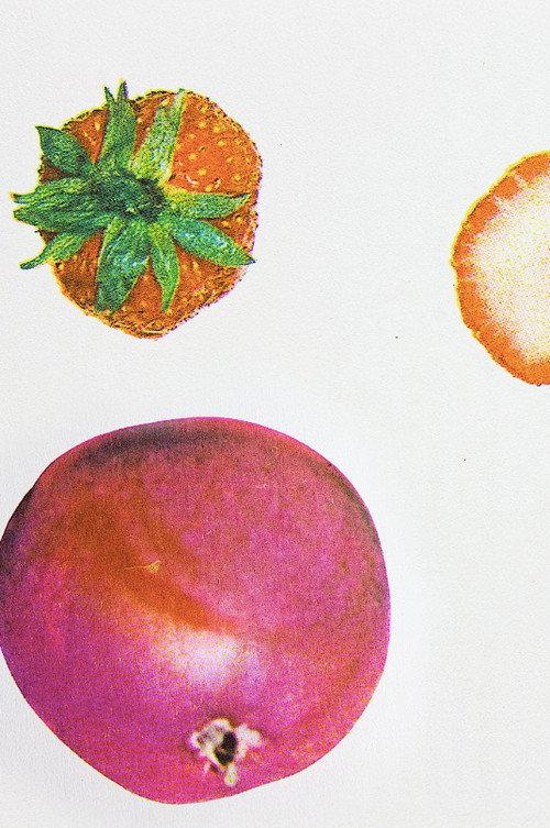 Dancing Fruit 2023 official movie poster