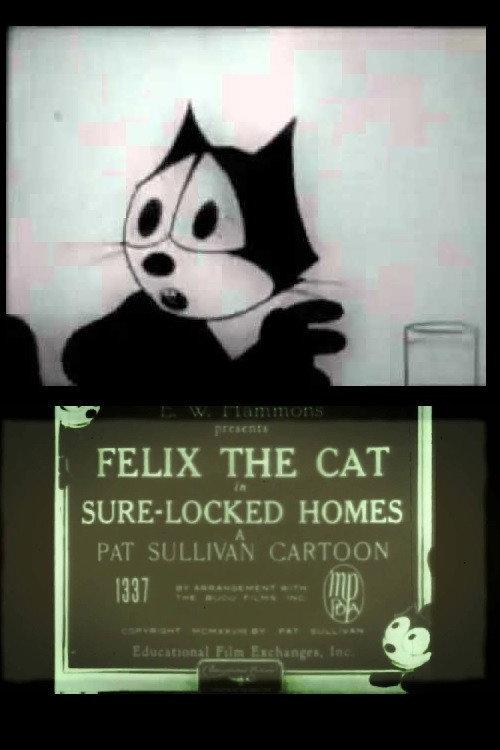 Sure-Locked Homes 1928 official movie poster