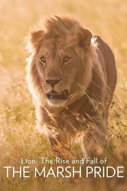 Lion: The Rise and Fall of the Marsh Pride 2022 official movie poster