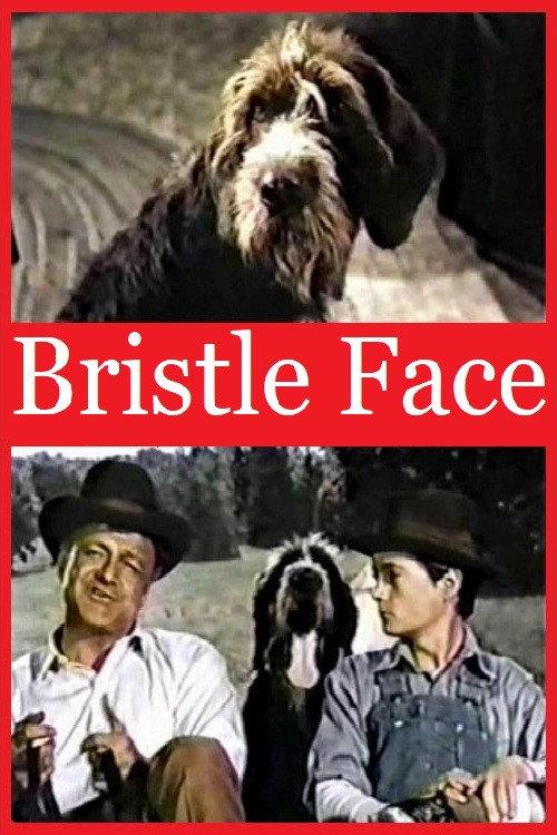 Bristle Face 1964 official movie poster