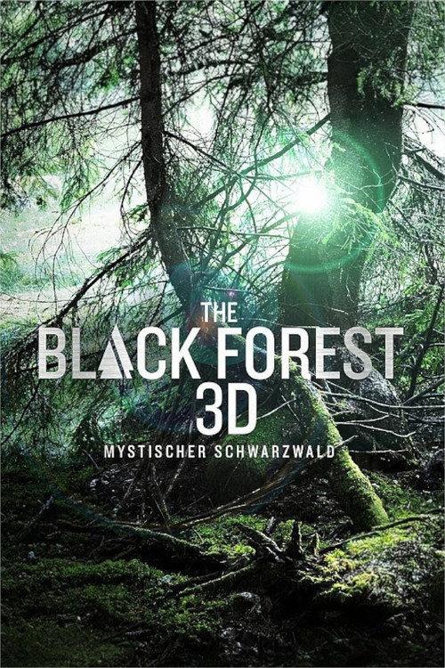 The Black Forest - Mystischer Schwarzwald 2013 official movie poster
