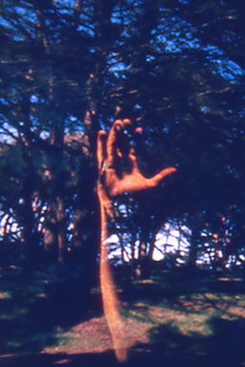 FFFTCM 1967 official movie poster