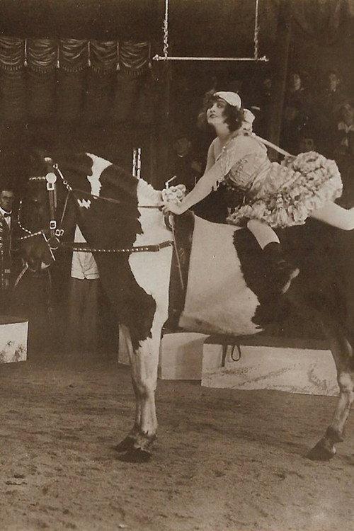 Um Krone und Peitsche 1919 official movie poster