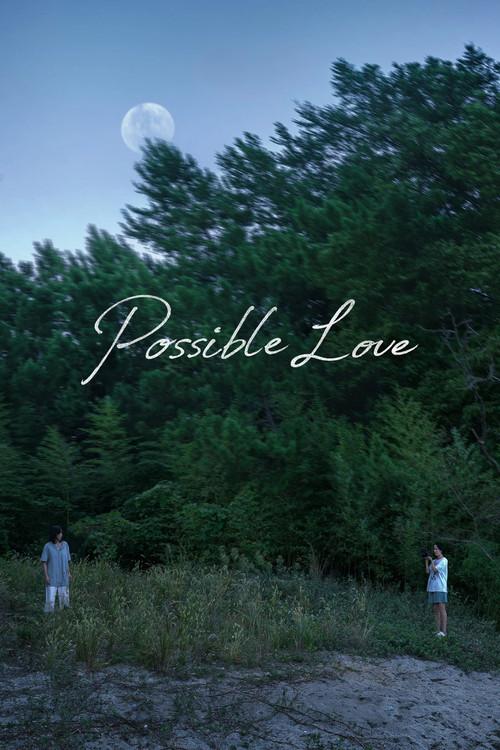 Possible Love 2026 official movie poster
