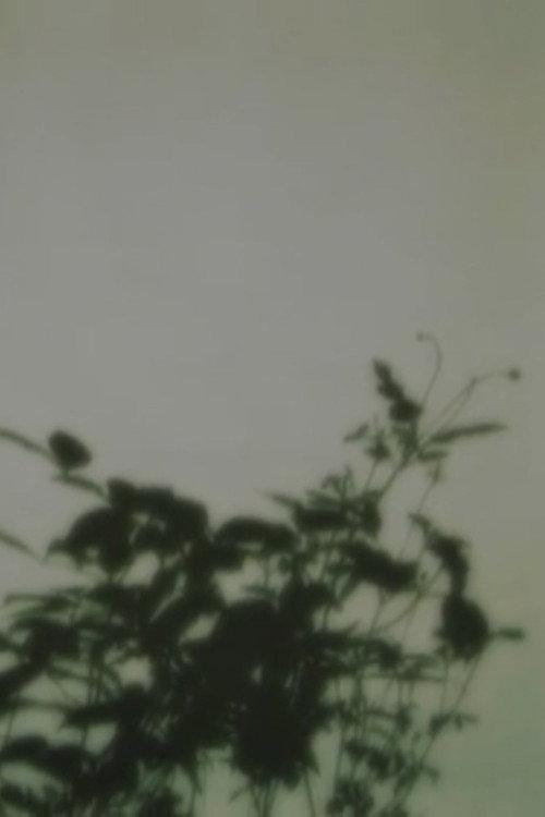 in the forest of shadows 2008 official movie poster