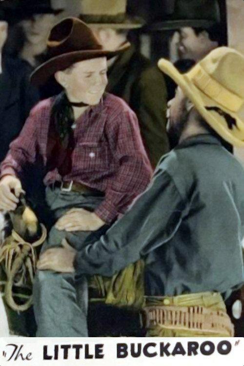 The Little Buckaroo 1928 official movie poster