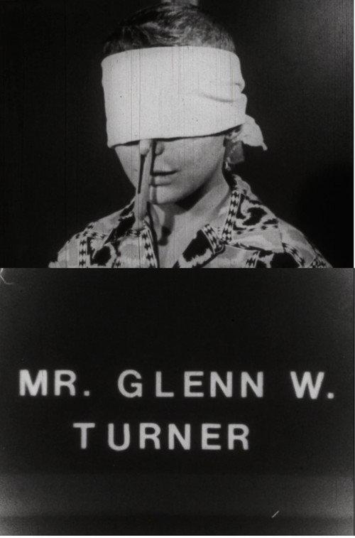 Mr. Glenn W. Turner 1990 official movie poster