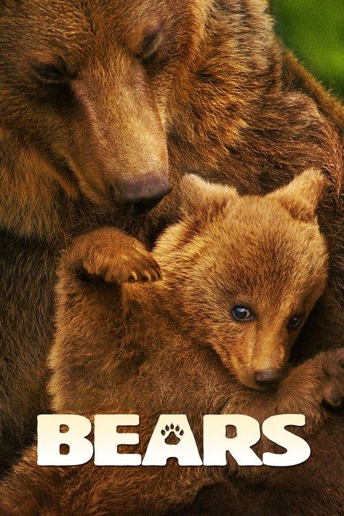 Bears 2014 official movie poster