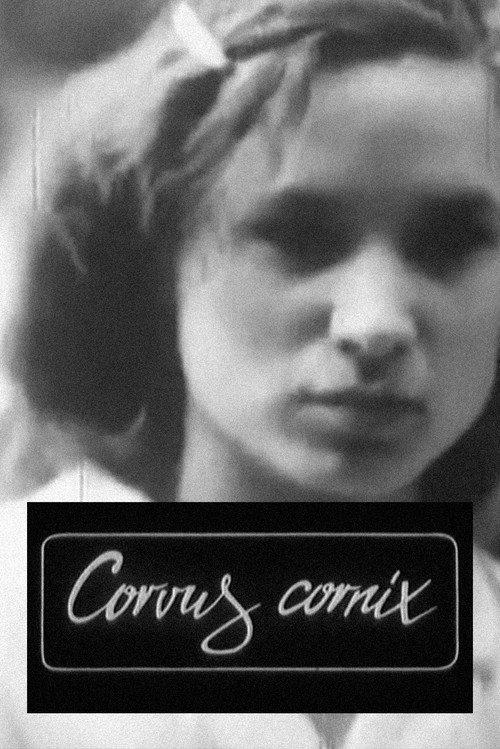 Corvus Cornix - From Latin as Raven 1988 official movie poster