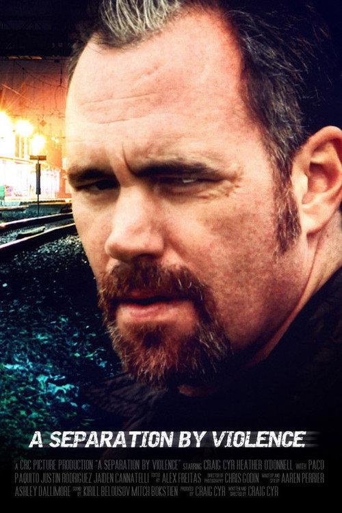 A Separation by Violence 2013 official movie poster