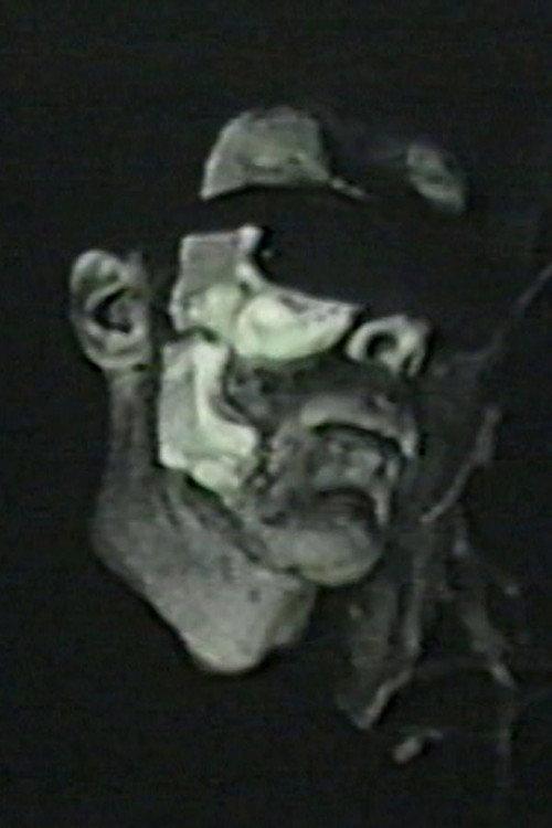 Birdheart Pie 1997 official movie poster