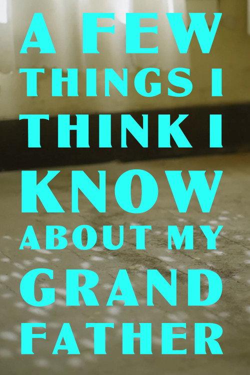 A Few Things I Think I Know About my Grandfather 2024 official movie poster
