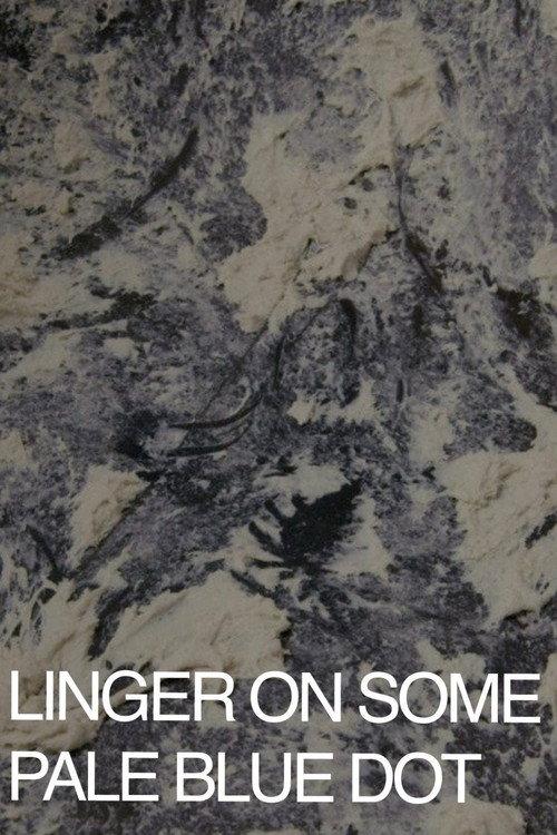 Linger on Some Pale Blue Dot 2018 official movie poster