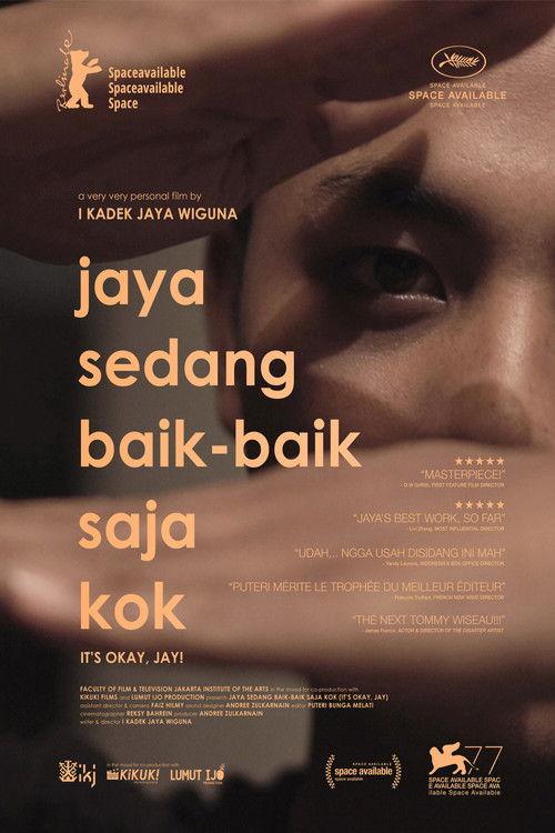 It's Okay, Jay! 2019 official movie poster