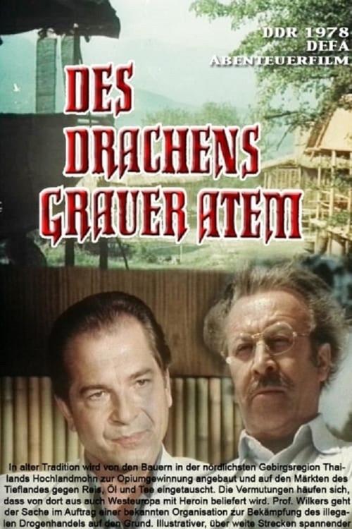 Des Drachens grauer Atem 1979 official movie poster