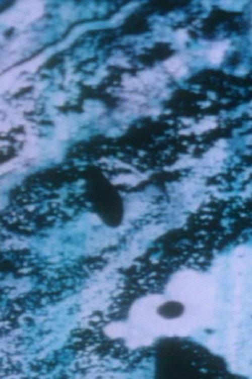 Anomalies of the Unconscious 2003 official movie poster