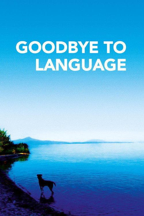 Goodbye to Language 2014 official movie poster