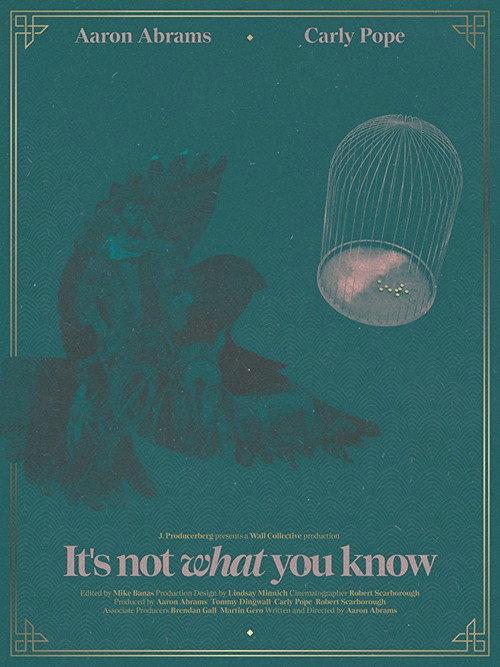 It's Not What You Know 2016 official movie poster