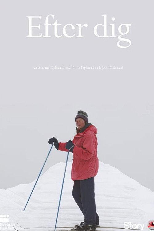 After You 2013 official movie poster