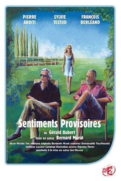 Sentiments provisoires 2010 official movie poster
