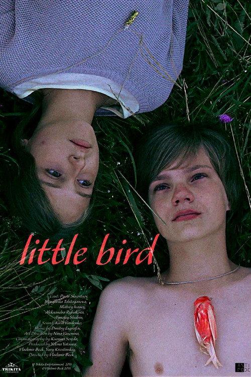 Little Bird 2014 official movie poster