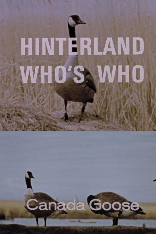 Hinterland Who's Who: Canada Goose 1967 official movie poster