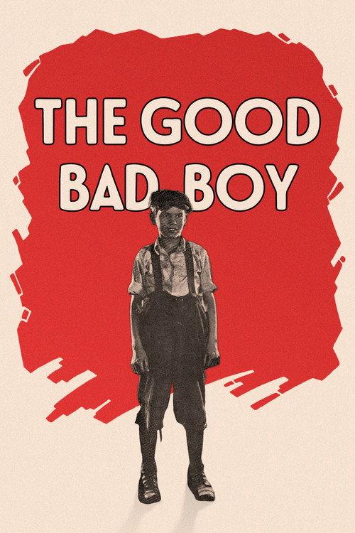The Good Bad Boy 1924 official movie poster