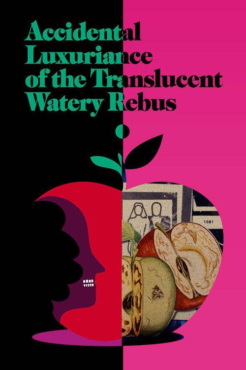 Accidental Luxuriance of the Translucent Watery Rebus 2020 official movie poster