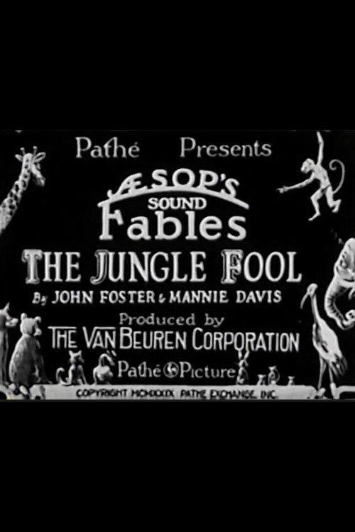 The Jungle Fool 1929 official movie poster