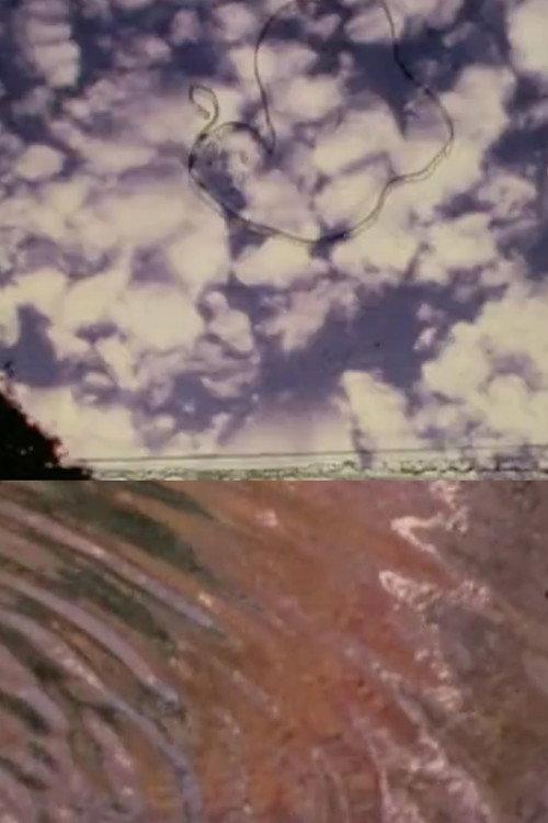 The Cosmos in Mike Smith’s Pond 2002 official movie poster