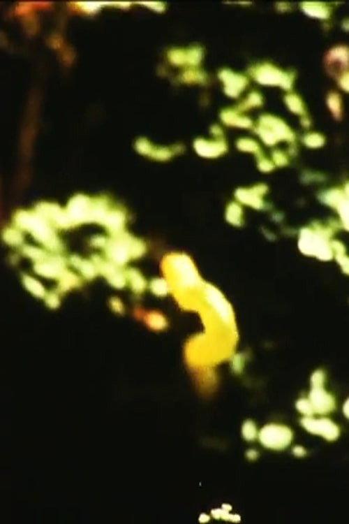 Caterpillar 1973 official movie poster