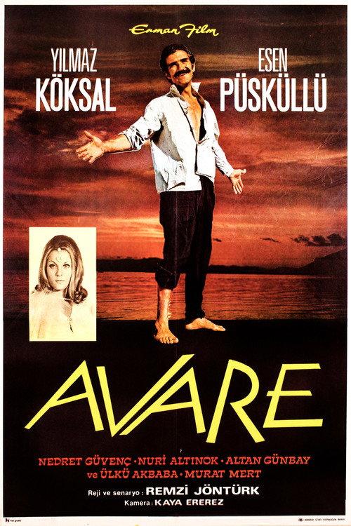 Avare 1970 official movie poster