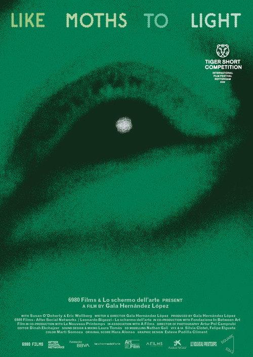 like moths to light 2026 official movie poster