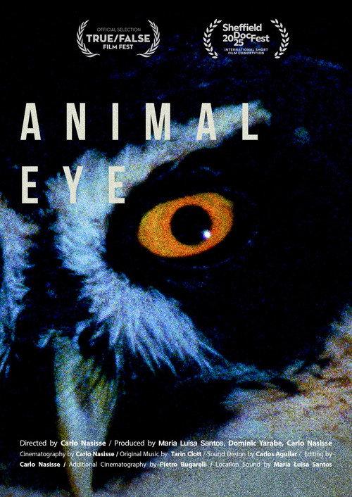 Animal Eye 2025 official movie poster
