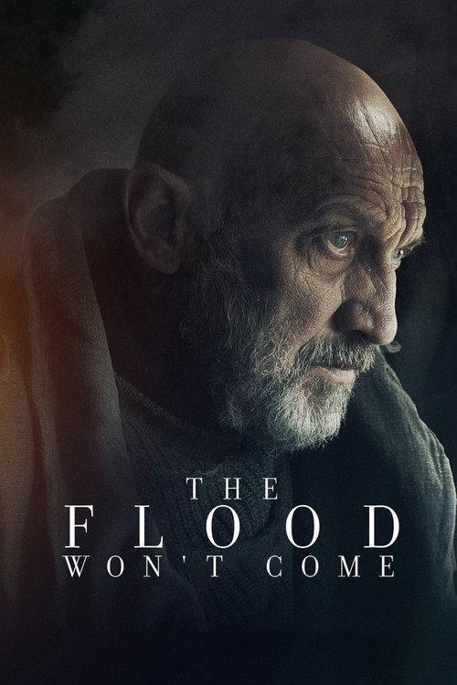 The Flood Won’t Come 2020 official movie poster