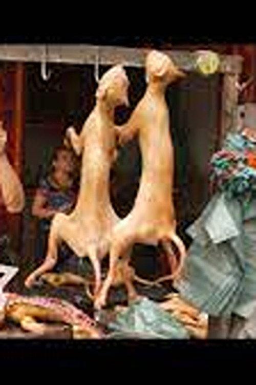 Dining on Dogs in Yulin 2014 official movie poster