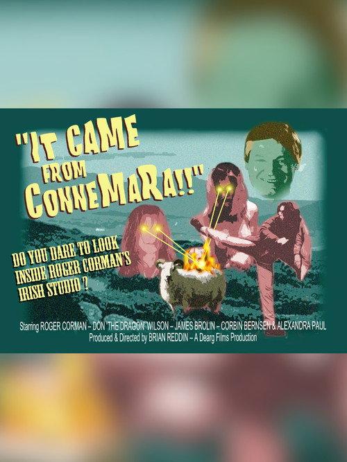 It Came From Connemara! 2014 official movie poster