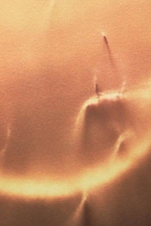Light Licks: Only Sunshine 2000 official movie poster
