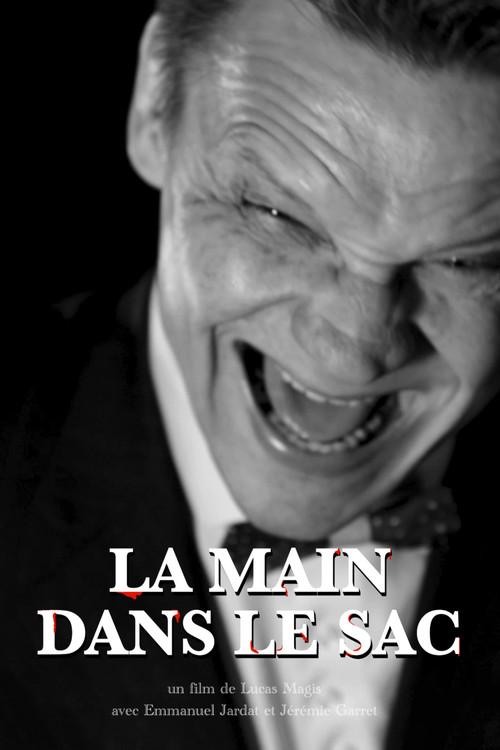 La Main dans le sac 2024 official movie poster