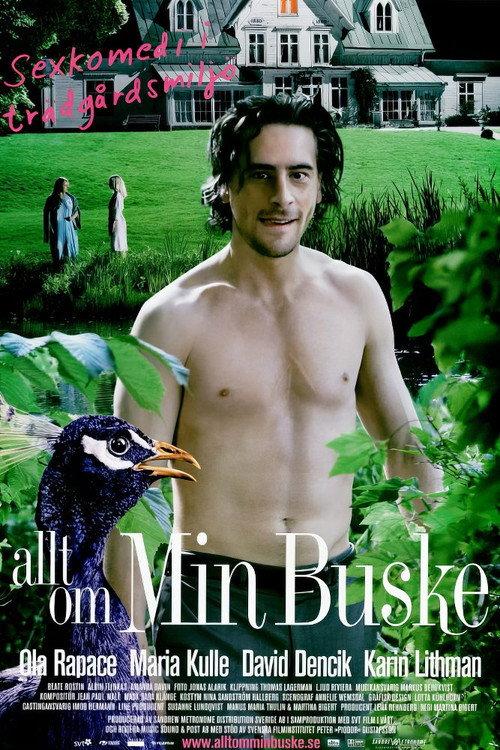 All About My Bush 2007 official movie poster