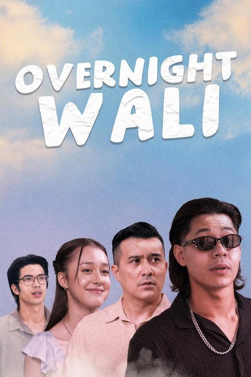 Overnight Wali 2024 official movie poster