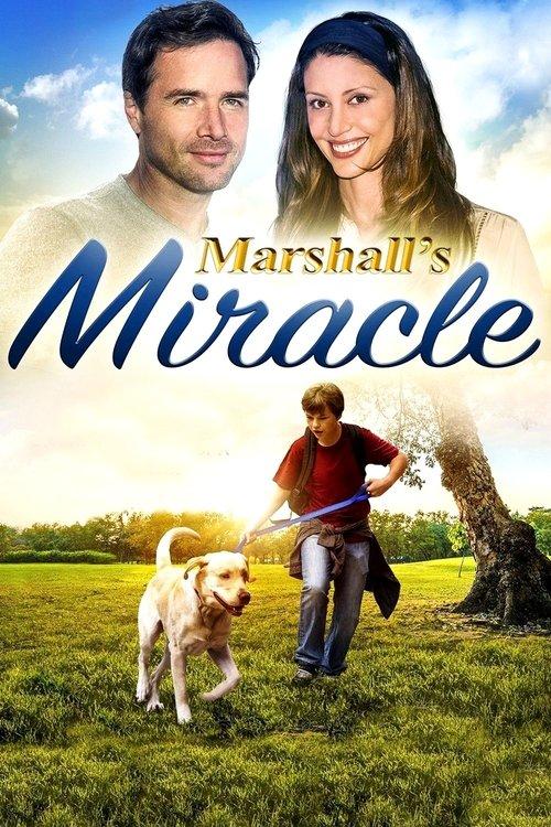Marshall's Miracle 2015 official movie poster