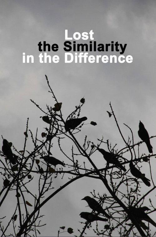 Lost the Similarity in the Difference 2020 official movie poster