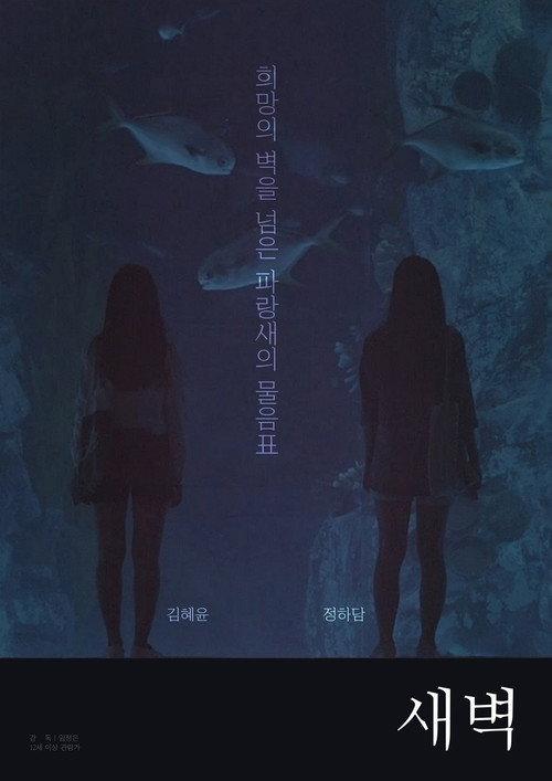 Dawn to Dawn 2018 official movie poster
