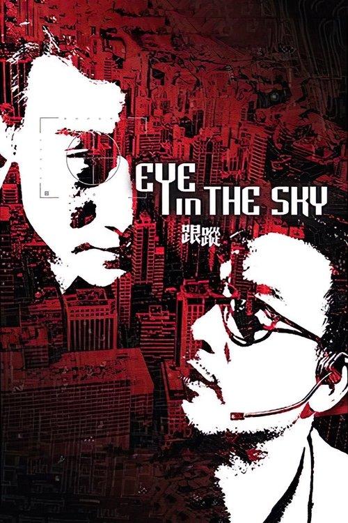 Eye in the Sky 2007 official movie poster