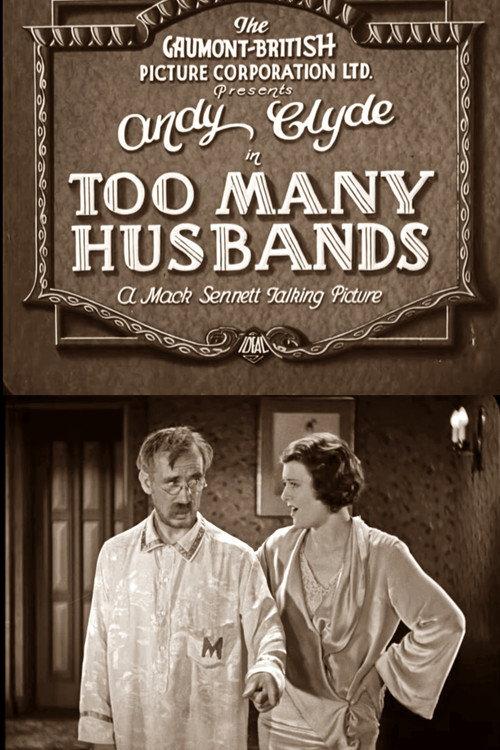 Too Many Husbands 1931 official movie poster