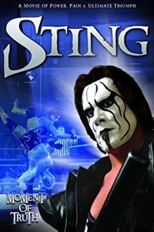 Sting: Moment of Truth 2004 official movie poster